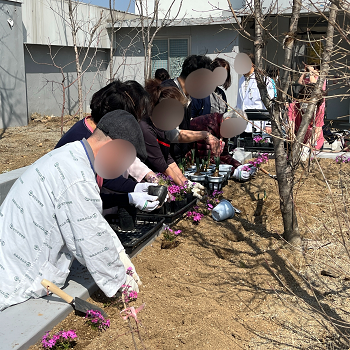 대구재활의학과, 상인요양병원 행사 프로그램 '옥상 정원 모종 심기' 4