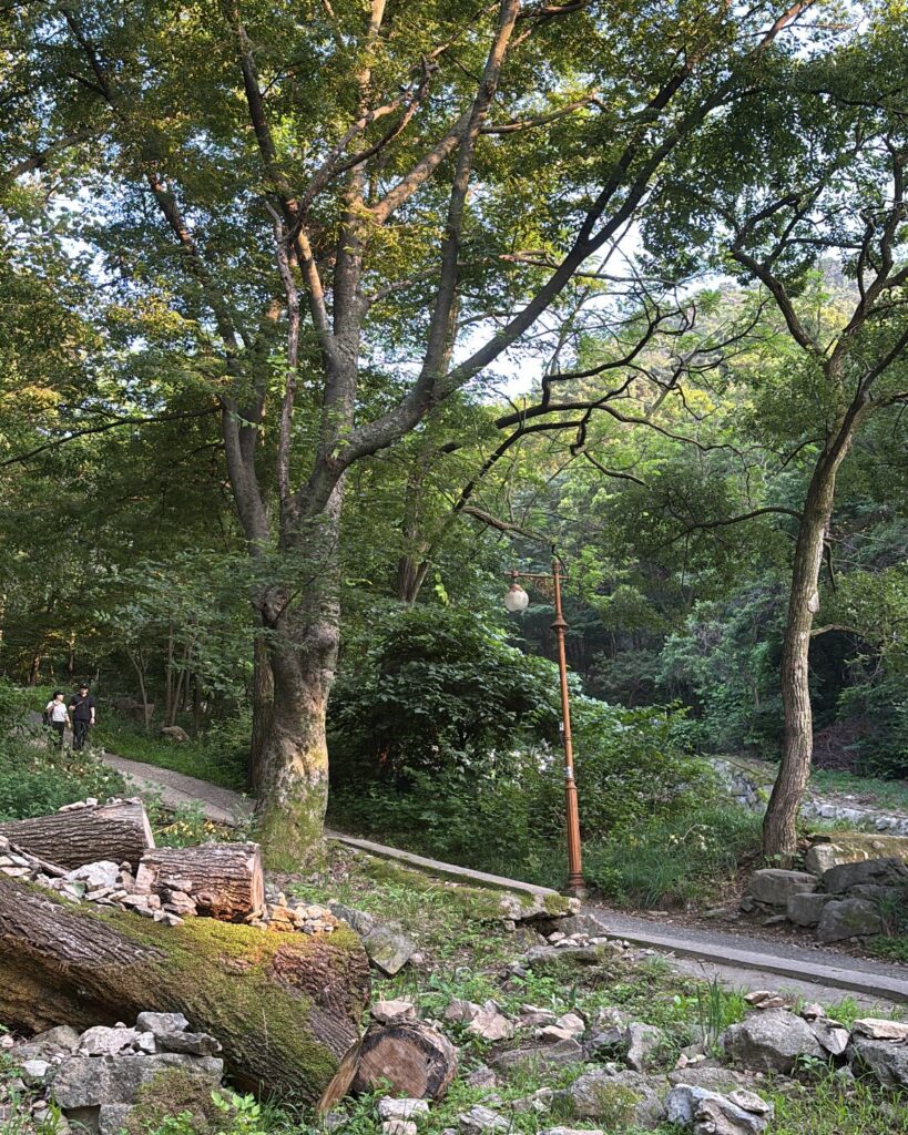 상인요양병원 이야기 - 직원 등산편