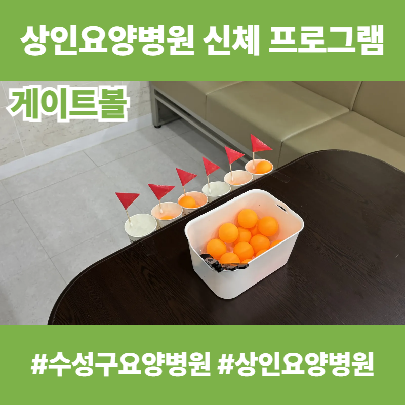 수성구요양병원, 상인요양병원 신체 프로그램 - 게이트볼